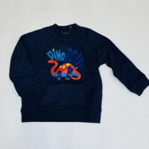 Gevoerde sweater dino P’tit Filou 12m