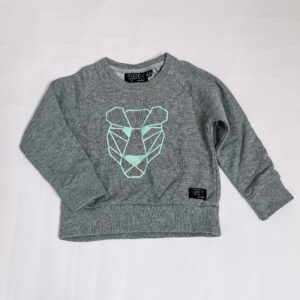 Sweater geo tiger mint Grey Kids Clothing 2-3jr