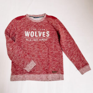 Sweater wolves Someone 164