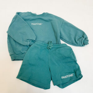Set sweater + short pantone Zara 2-3jr / 98