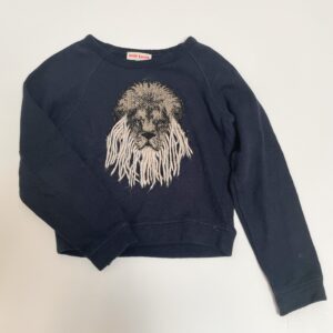 Sweater lion embroidery Anne Kurris 8jr / 128